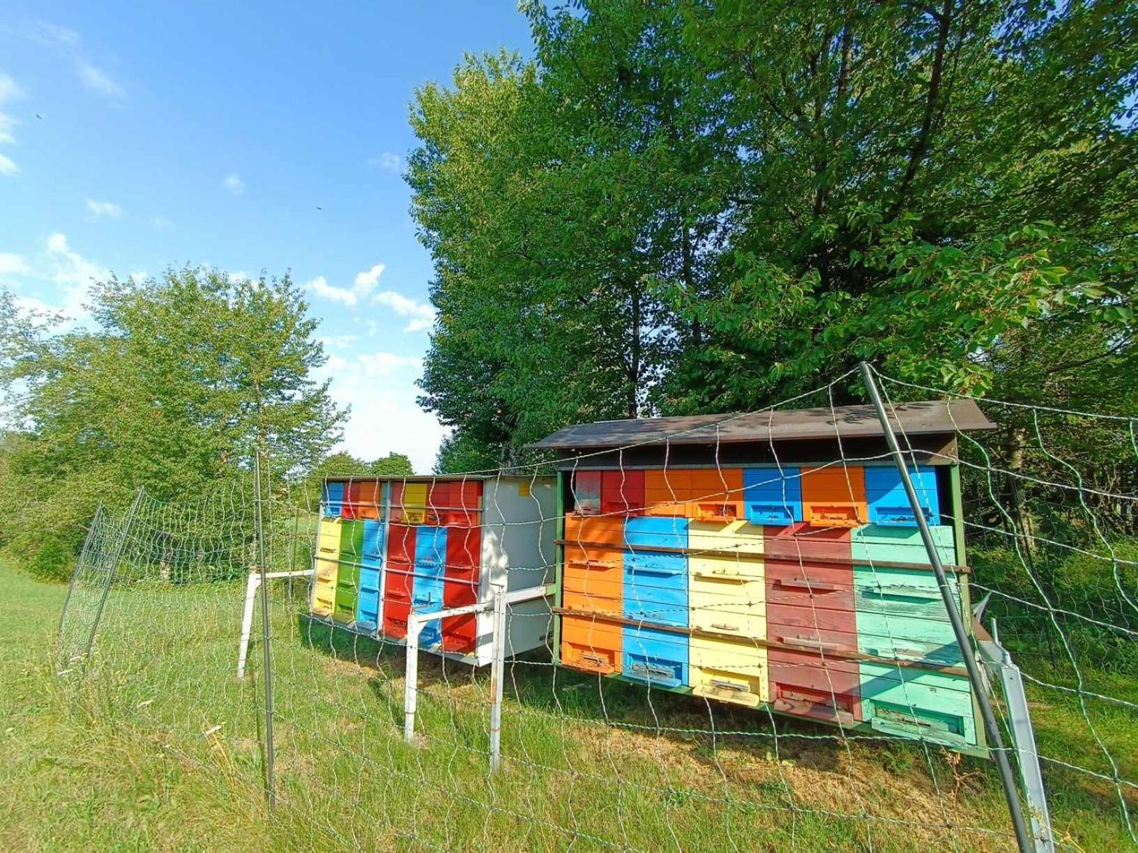 Apartma Mihatovi Пивка Екстериор снимка
